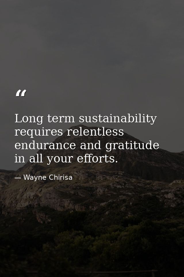 Long term sustainability requires relentless endurance and gratitude in all your efforts. — Wayne Chirisa