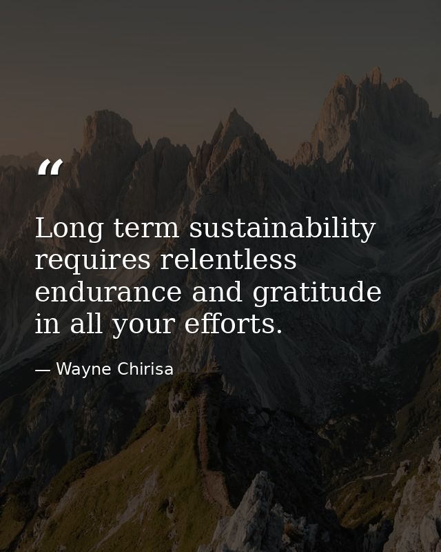 Long term sustainability requires relentless endurance and gratitude in all your efforts. — Wayne Chirisa