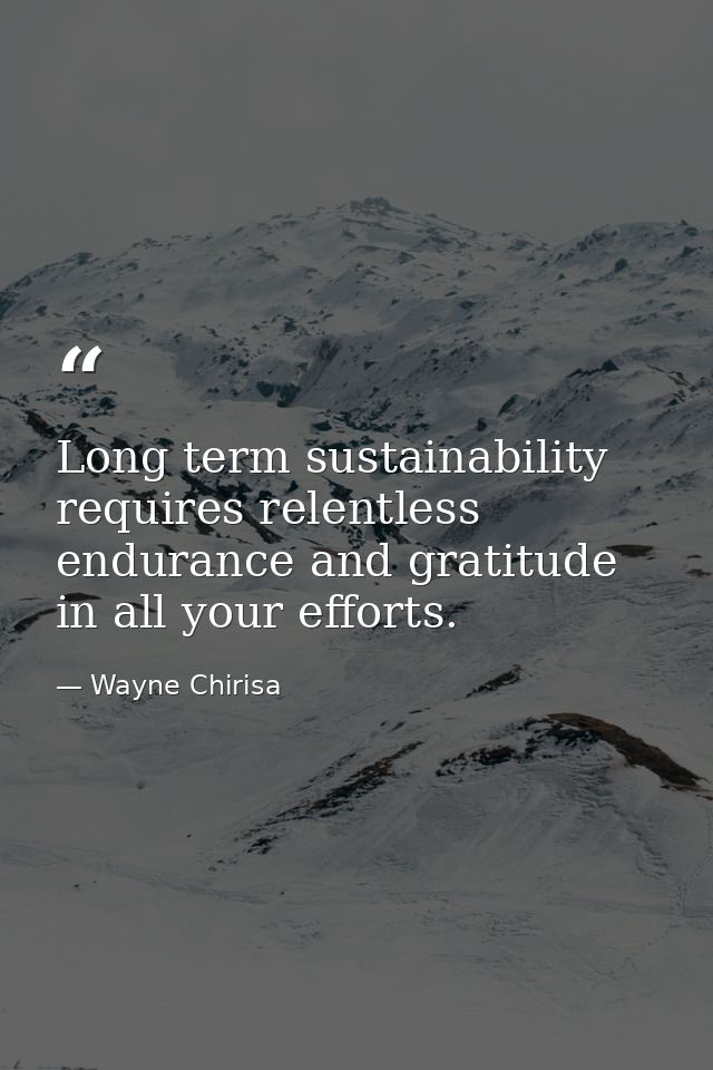 Long term sustainability requires relentless endurance and gratitude in all your efforts. — Wayne Chirisa