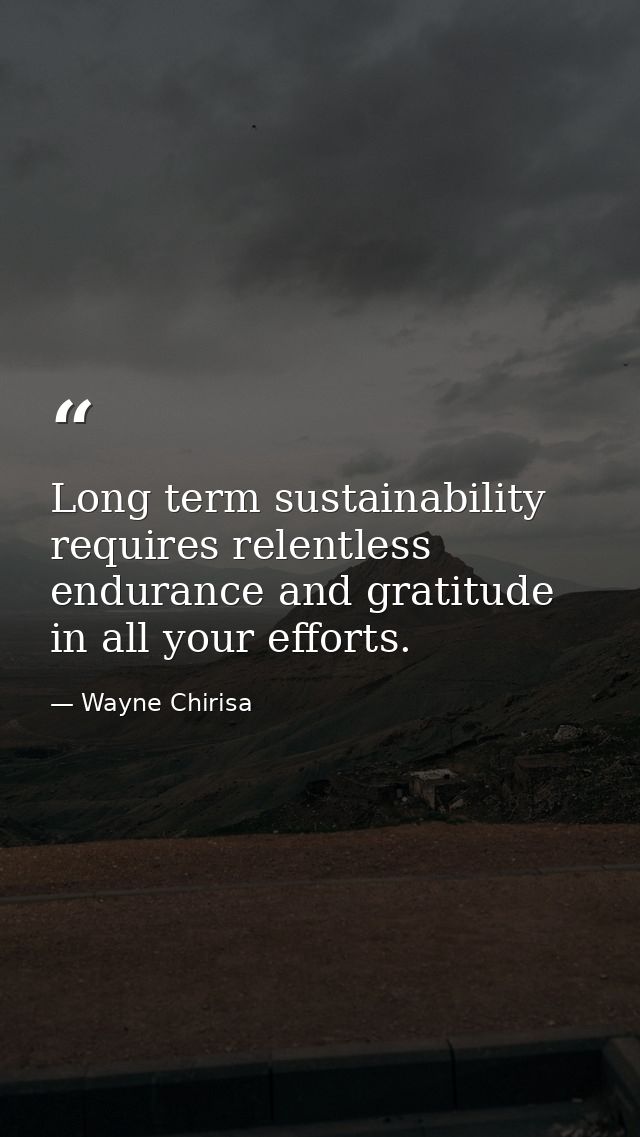 Long term sustainability requires relentless endurance and gratitude in all your efforts. — Wayne Chirisa