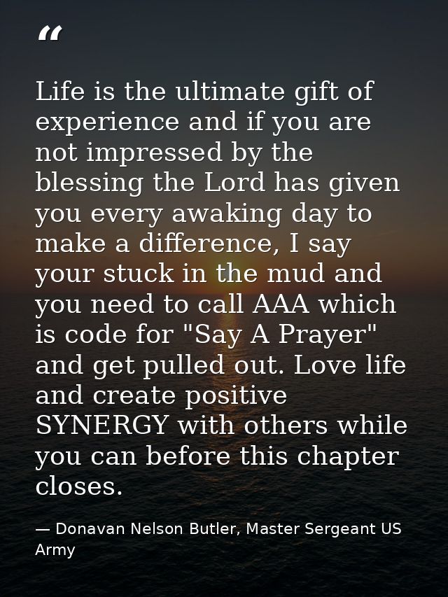Life is the ultimate gift of experience and if you are not impressed by the blessing the Lord has given you every awakin — Donavan Nelson Butler, Master Sergeant US Army