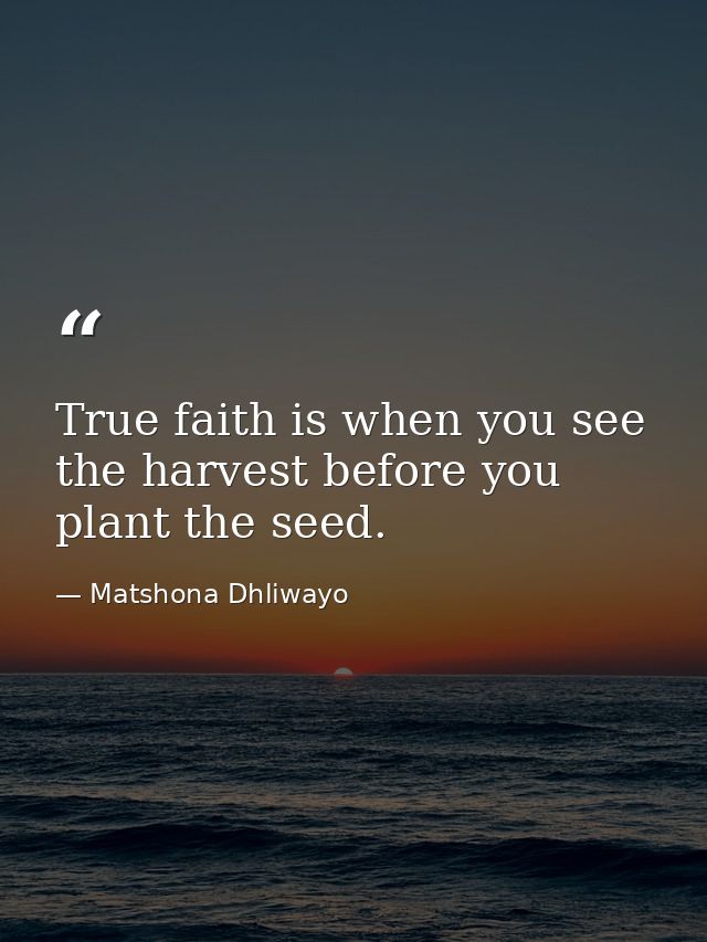 True faith is when you see the harvest before you plant the seed. — Matshona Dhliwayo