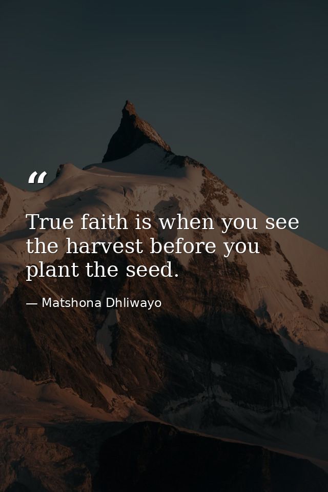 True faith is when you see the harvest before you plant the seed. — Matshona Dhliwayo