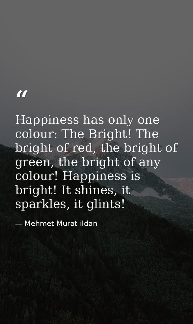 Happiness has only one colour: The Bright! The bright of red, the bright of green, the bright of any colour! Happiness i — Mehmet Murat ildan