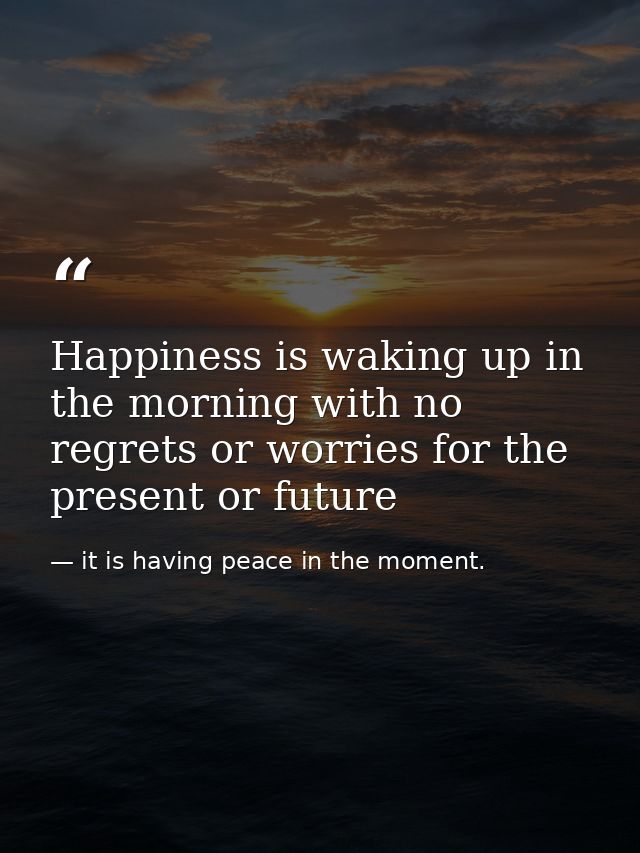 Happiness is waking up in the morning with no regrets or worries for the present or future — it is having peace in the moment.