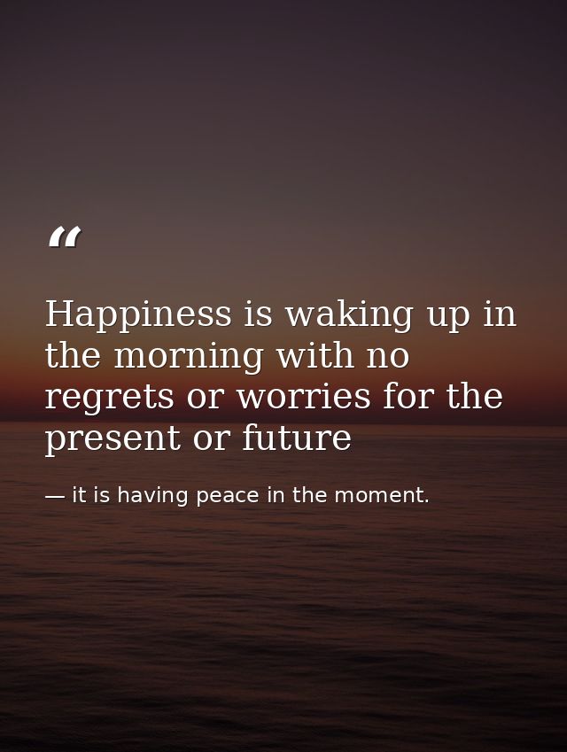 Happiness is waking up in the morning with no regrets or worries for the present or future — it is having peace in the moment.