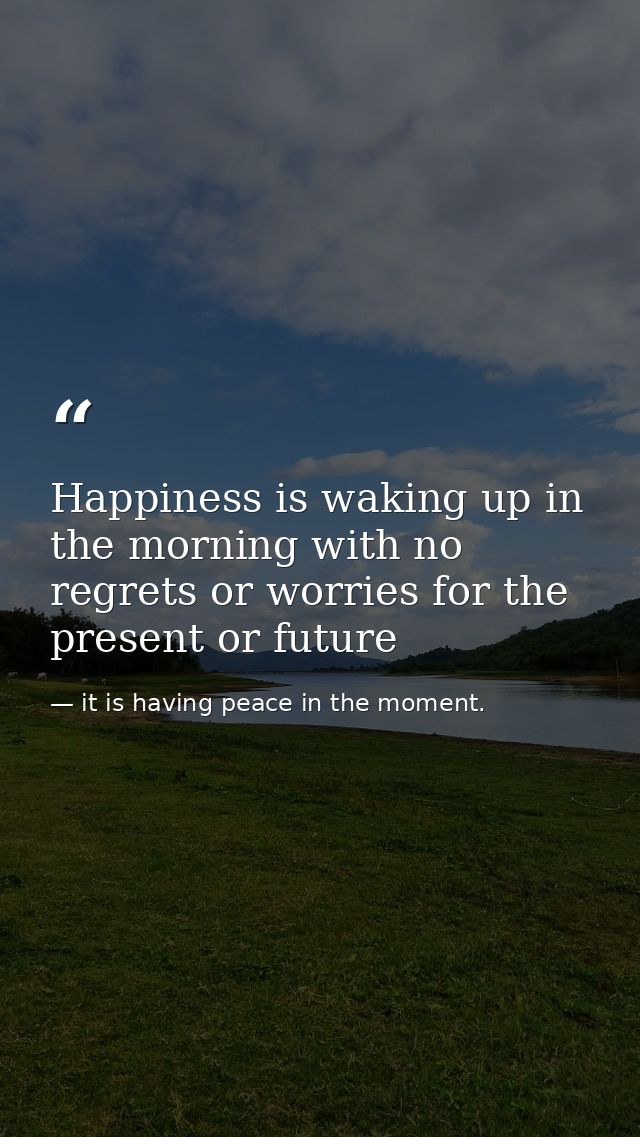 Happiness is waking up in the morning with no regrets or worries for the present or future — it is having peace in the moment.