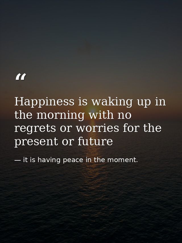 Happiness is waking up in the morning with no regrets or worries for the present or future — it is having peace in the moment.