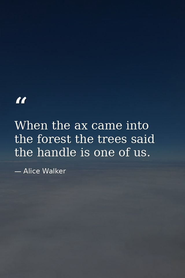 When the ax came into the forest the trees said the handle is one of us. — Alice Walker