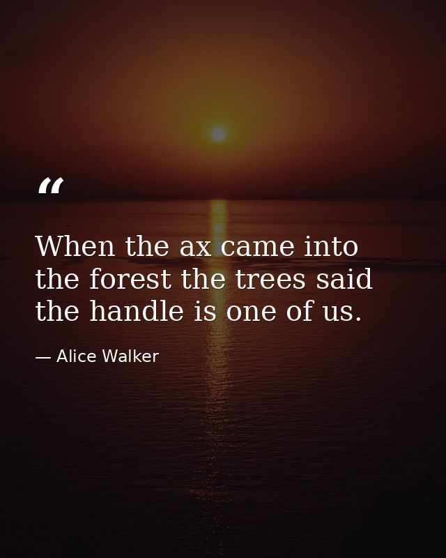 When the ax came into the forest the trees said the handle is one of us. — Alice Walker