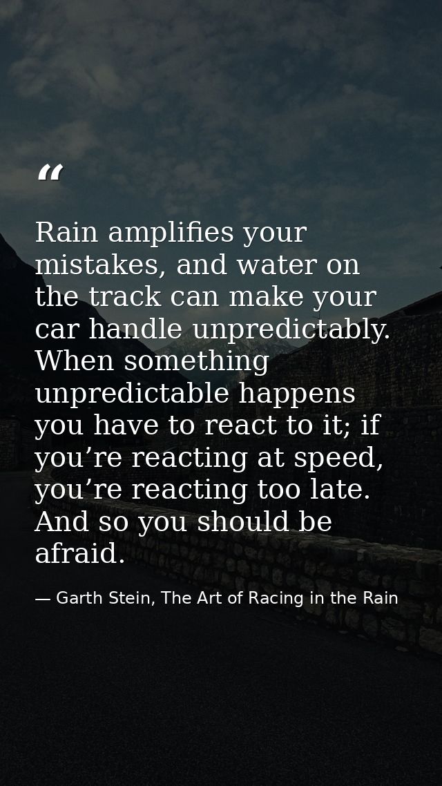 Rain amplifies your mistakes, and water on the track can make your car handle unpredictably. When something unpredictabl — Garth Stein, The Art of Racing in the Rain