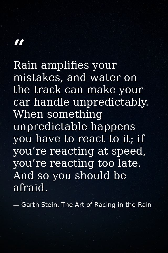 Rain amplifies your mistakes, and water on the track can make your car handle unpredictably. When something unpredictabl — Garth Stein, The Art of Racing in the Rain