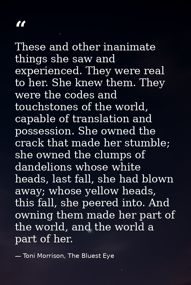 These and other inanimate things she saw and experienced. They were real to her. She knew them. They were the codes and  — Toni Morrison, The Bluest Eye