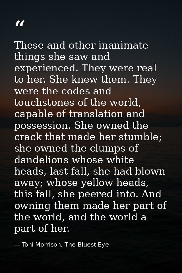 These and other inanimate things she saw and experienced. They were real to her. She knew them. They were the codes and  — Toni Morrison, The Bluest Eye