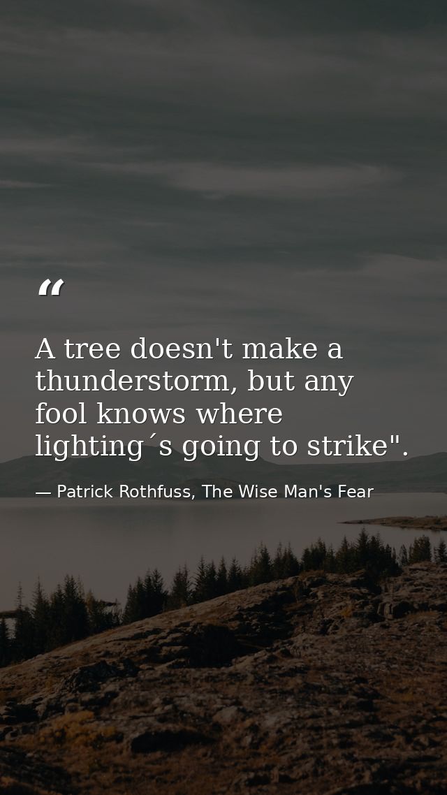 A tree doesn't make a thunderstorm, but any fool knows where lighting´s going to strike". — Patrick Rothfuss, The Wise Man's Fear