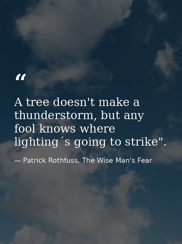 A tree doesn't make a thunderstorm, but any fool knows where lighting´s going to strike". — Patrick Rothfuss, The Wise Man's Fear