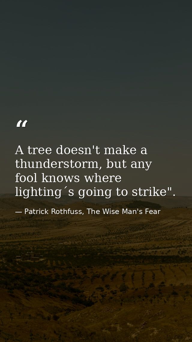 A tree doesn't make a thunderstorm, but any fool knows where lighting´s going to strike". — Patrick Rothfuss, The Wise Man's Fear