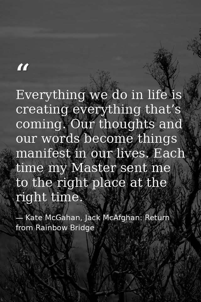 Everything we do in life is creating everything that’s coming. Our thoughts and our words become things manifest in our  — Kate McGahan, Jack McAfghan: Return from Rainbow Bridge