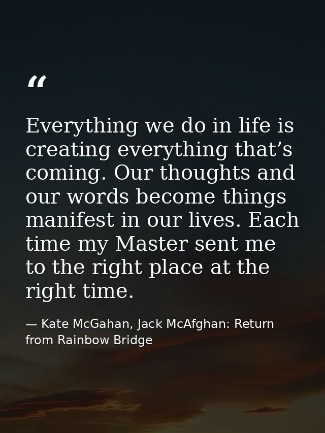 Everything we do in life is creating everything that’s coming. Our thoughts and our words become things manifest in our  — Kate McGahan, Jack McAfghan: Return from Rainbow Bridge