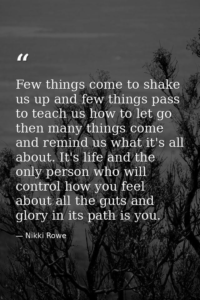 Few things come to shake us up and few things pass to teach us how to let go then many things come and remind us what it — Nikki Rowe