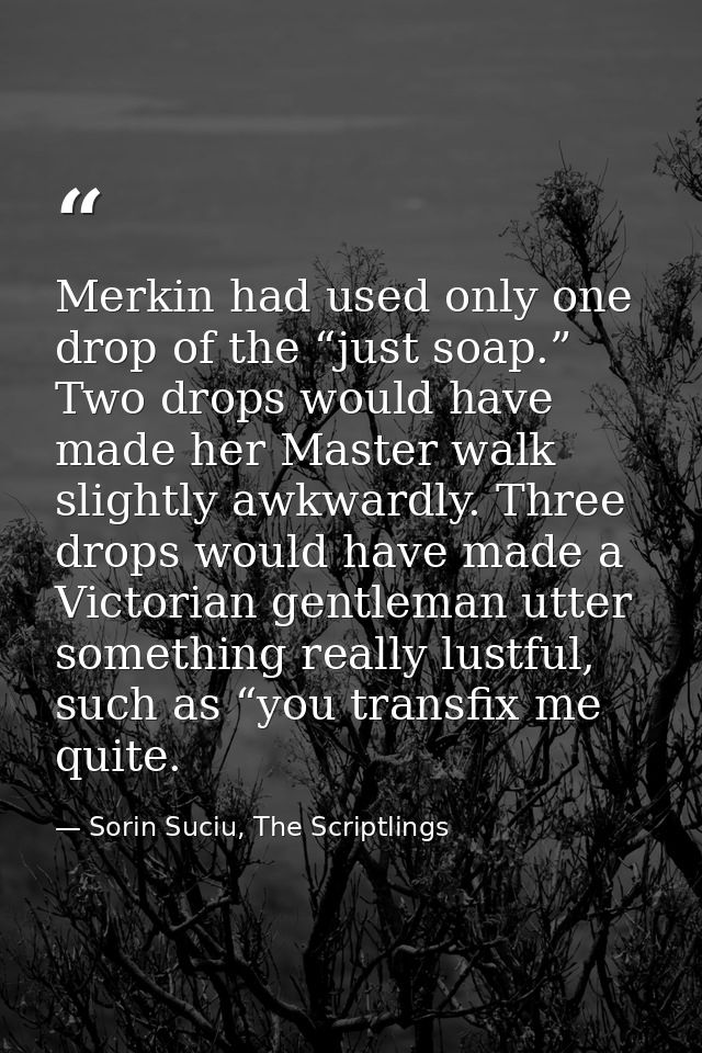 Merkin had used only one drop of the “just soap.” Two drops would have made her Master walk slightly awkwardly. Three dr — Sorin Suciu, The Scriptlings