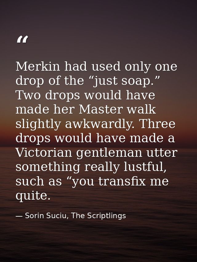 Merkin had used only one drop of the “just soap.” Two drops would have made her Master walk slightly awkwardly. Three dr — Sorin Suciu, The Scriptlings