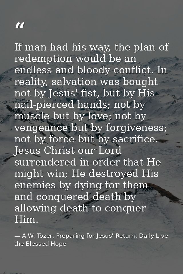If man had his way, the plan of redemption would be an endless and bloody conflict. In reality, salvation was bought not — A.W. Tozer, Preparing for Jesus' Return: Daily Live the Blessed Hope