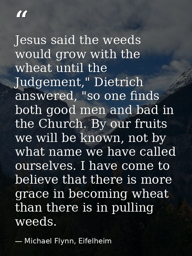 Jesus said the weeds would grow with the wheat until the Judgement," Dietrich answered, "so one finds both good men and  — Michael Flynn, Eifelheim