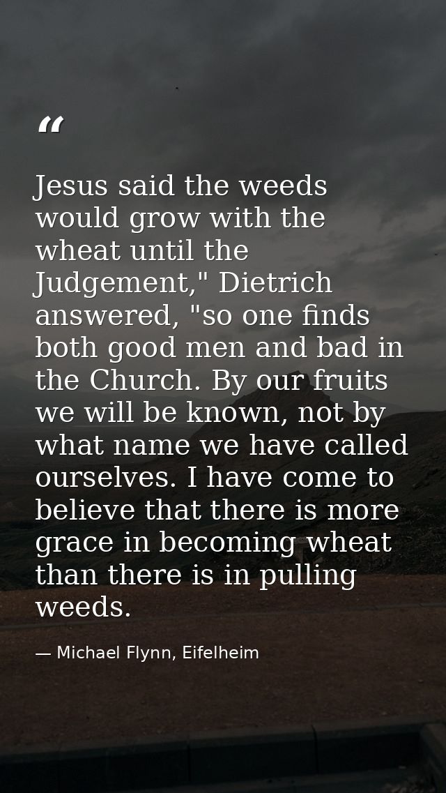 Jesus said the weeds would grow with the wheat until the Judgement," Dietrich answered, "so one finds both good men and  — Michael Flynn, Eifelheim