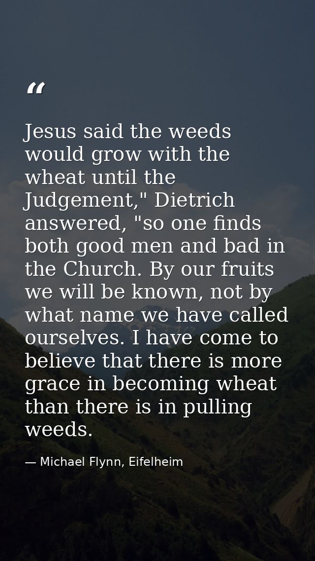 Jesus said the weeds would grow with the wheat until the Judgement," Dietrich answered, "so one finds both good men and  — Michael Flynn, Eifelheim