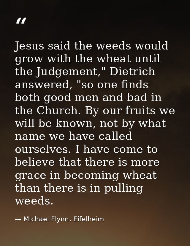 Jesus said the weeds would grow with the wheat until the Judgement," Dietrich answered, "so one finds both good men and  — Michael Flynn, Eifelheim