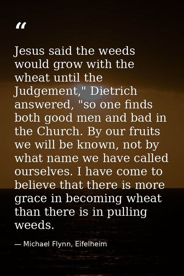 Jesus said the weeds would grow with the wheat until the Judgement," Dietrich answered, "so one finds both good men and  — Michael Flynn, Eifelheim