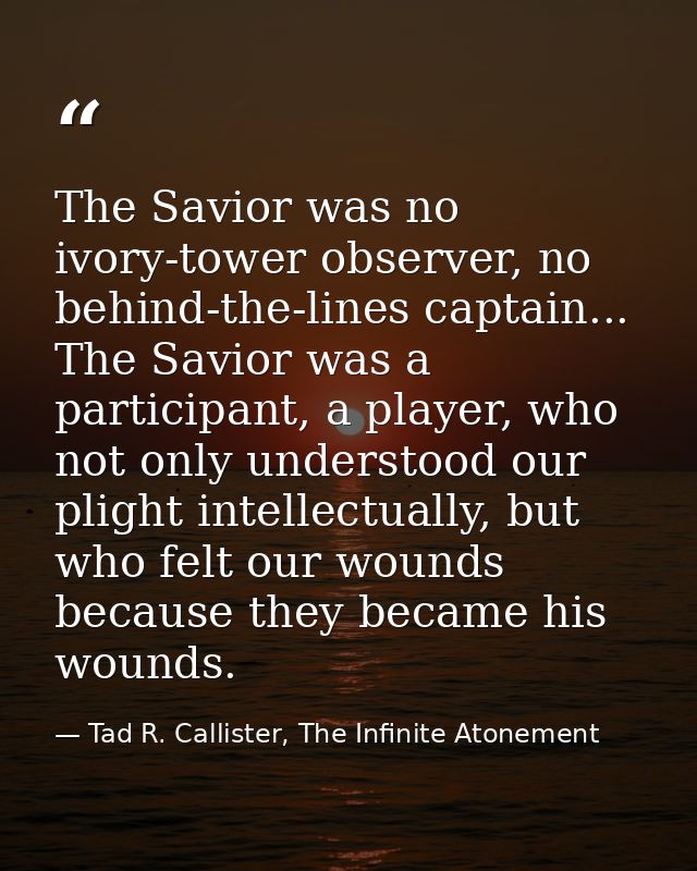The Savior was no ivory-tower observer, no behind-the-lines captain... The Savior was a participant, a player, who not o — Tad R. Callister, The Infinite Atonement