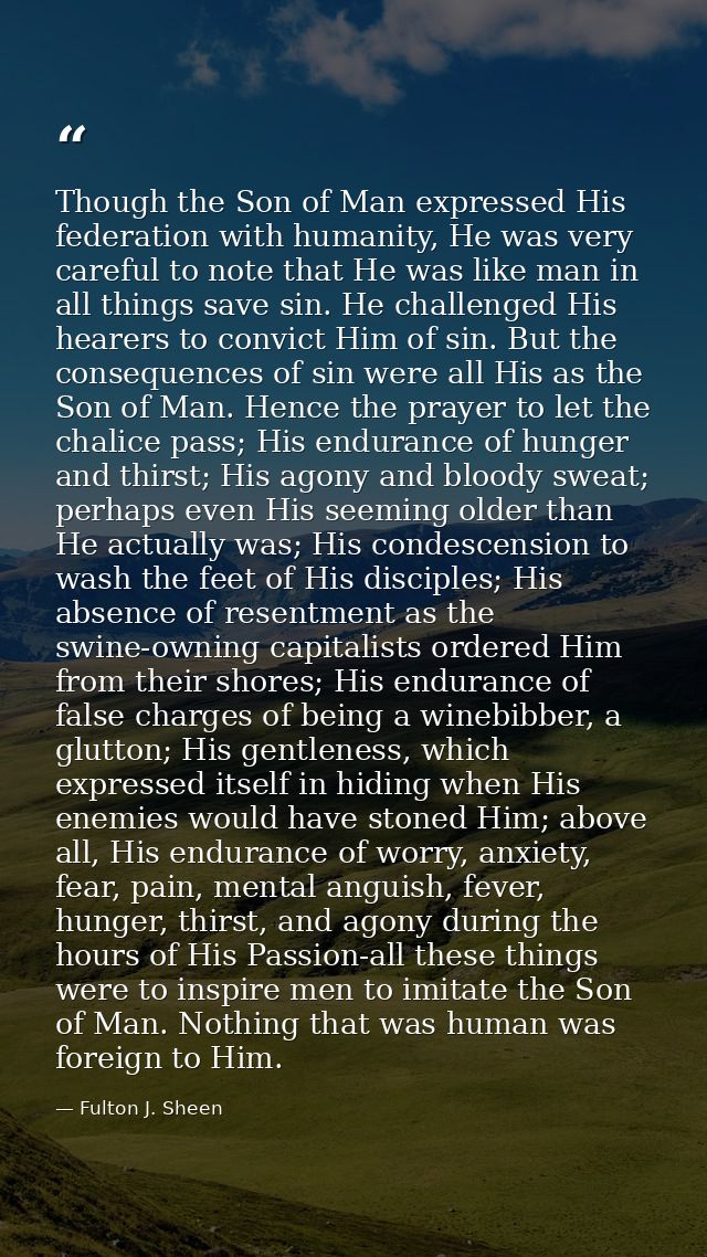 Though the Son of Man expressed His federation with humanity, He was very careful to note that He was like man in all th — Fulton J. Sheen