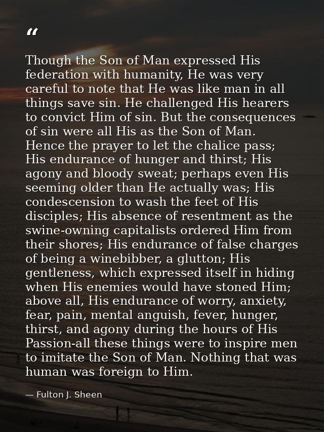 Though the Son of Man expressed His federation with humanity, He was very careful to note that He was like man in all th — Fulton J. Sheen