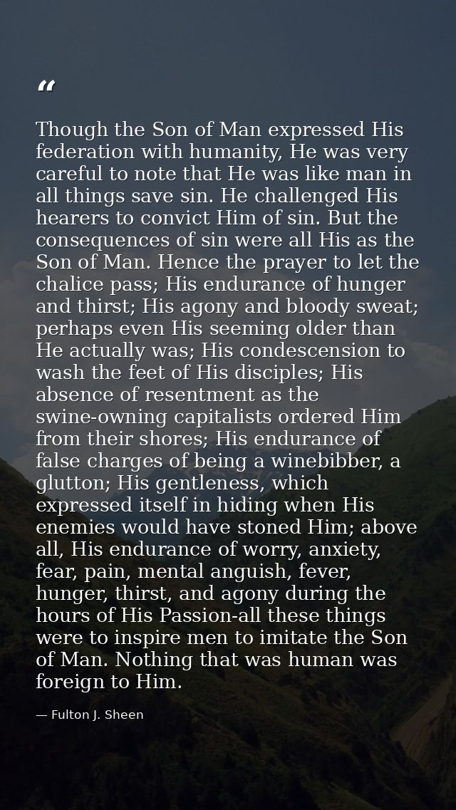 Though the Son of Man expressed His federation with humanity, He was very careful to note that He was like man in all th — Fulton J. Sheen