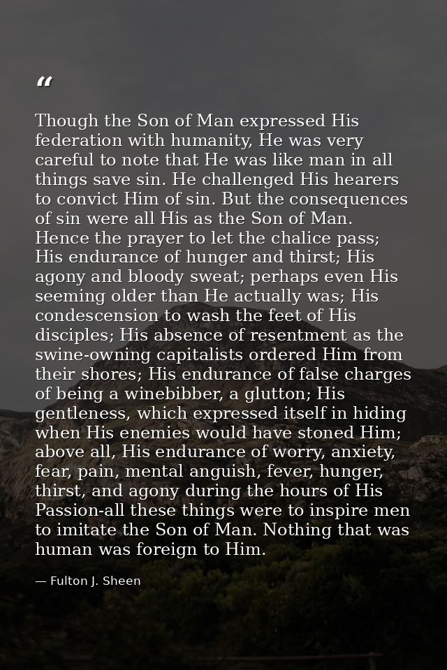 Though the Son of Man expressed His federation with humanity, He was very careful to note that He was like man in all th — Fulton J. Sheen