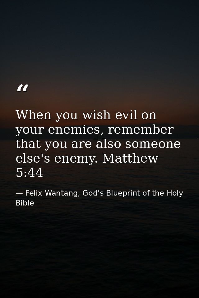 When you wish evil on your enemies, remember that you are also someone else's enemy. Matthew 5:44 — Felix Wantang, God's Blueprint of the Holy Bible