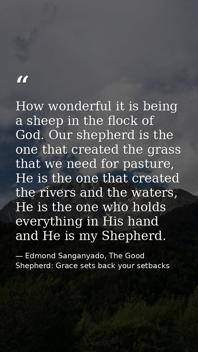 How wonderful it is being a sheep in the flock of God. Our shepherd is the one that created the grass that we need for p — Edmond Sanganyado, The Good Shepherd: Grace sets back your setbacks
