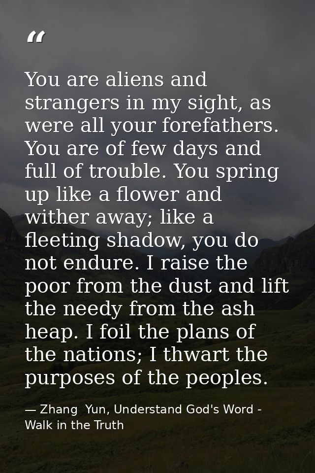 You are aliens and strangers in my sight, as were all your forefathers. You are of few days and full of trouble. You spr — Zhang  Yun, Understand God's Word - Walk in the Truth