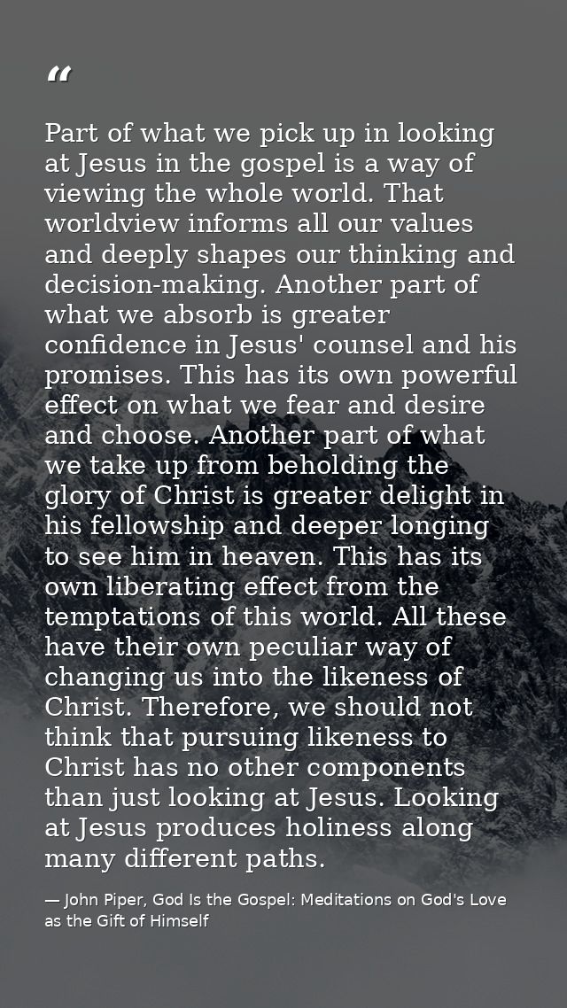 Part of what we pick up in looking at Jesus in the gospel is a way of viewing the whole world. That worldview informs al — John Piper, God Is the Gospel: Meditations on God's Love as the Gift of Himself
