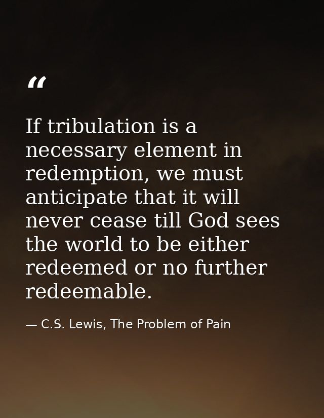 If tribulation is a necessary element in redemption, we must anticipate that it will never cease till God sees the world — C.S. Lewis, The Problem of Pain
