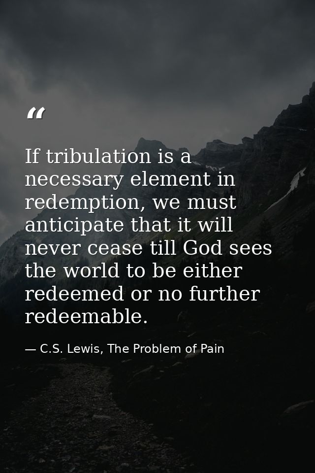If tribulation is a necessary element in redemption, we must anticipate that it will never cease till God sees the world — C.S. Lewis, The Problem of Pain
