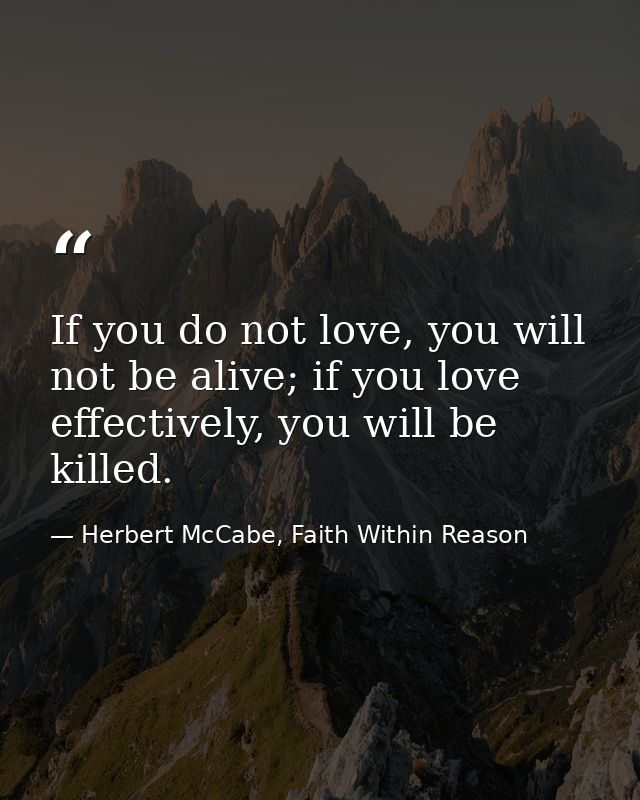 If you do not love, you will not be alive; if you love effectively, you will be killed. — Herbert McCabe, Faith Within Reason