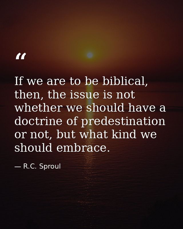 If we are to be biblical, then, the issue is not whether we should have a doctrine of predestination or not, but what ki — R.C. Sproul