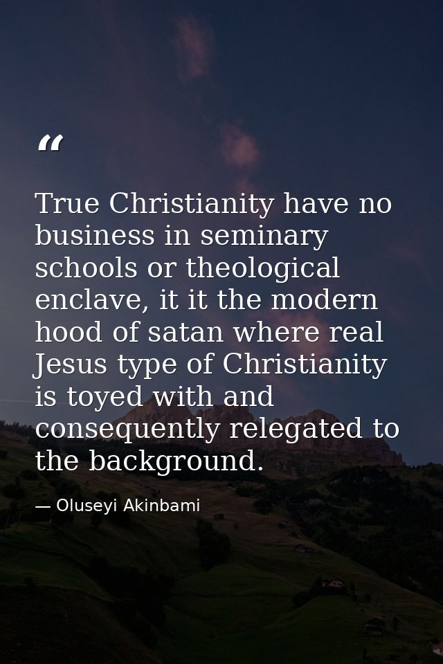 True Christianity have no business in seminary schools or theological enclave, it it the modern hood of satan where real — Oluseyi Akinbami