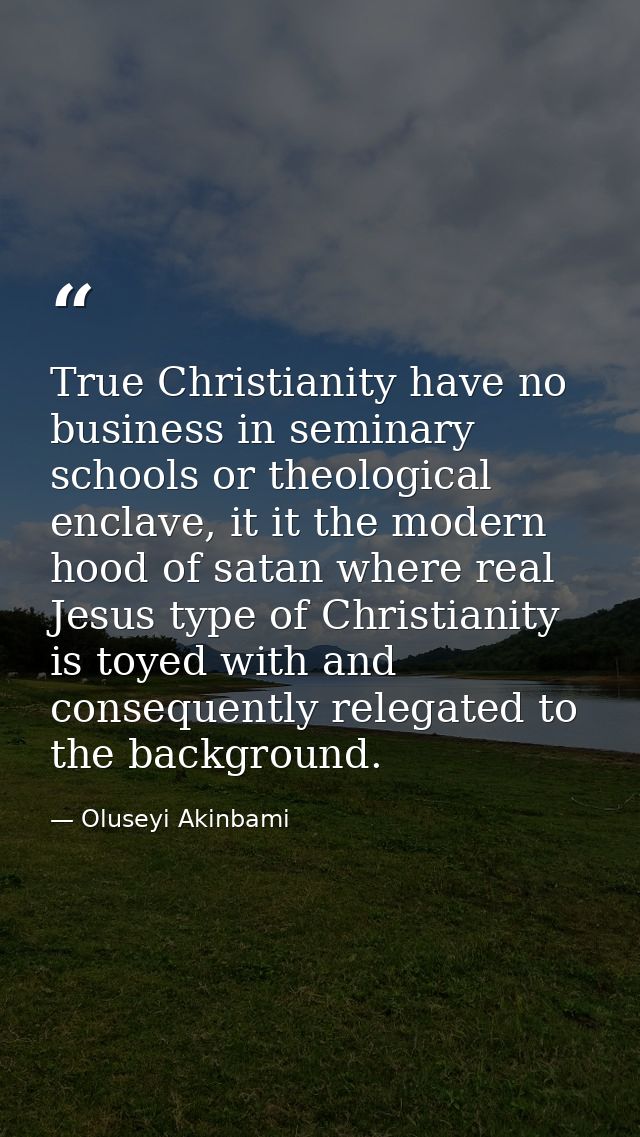 True Christianity have no business in seminary schools or theological enclave, it it the modern hood of satan where real — Oluseyi Akinbami