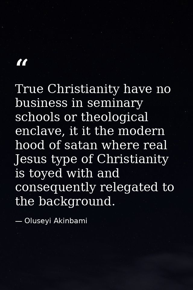 True Christianity have no business in seminary schools or theological enclave, it it the modern hood of satan where real — Oluseyi Akinbami