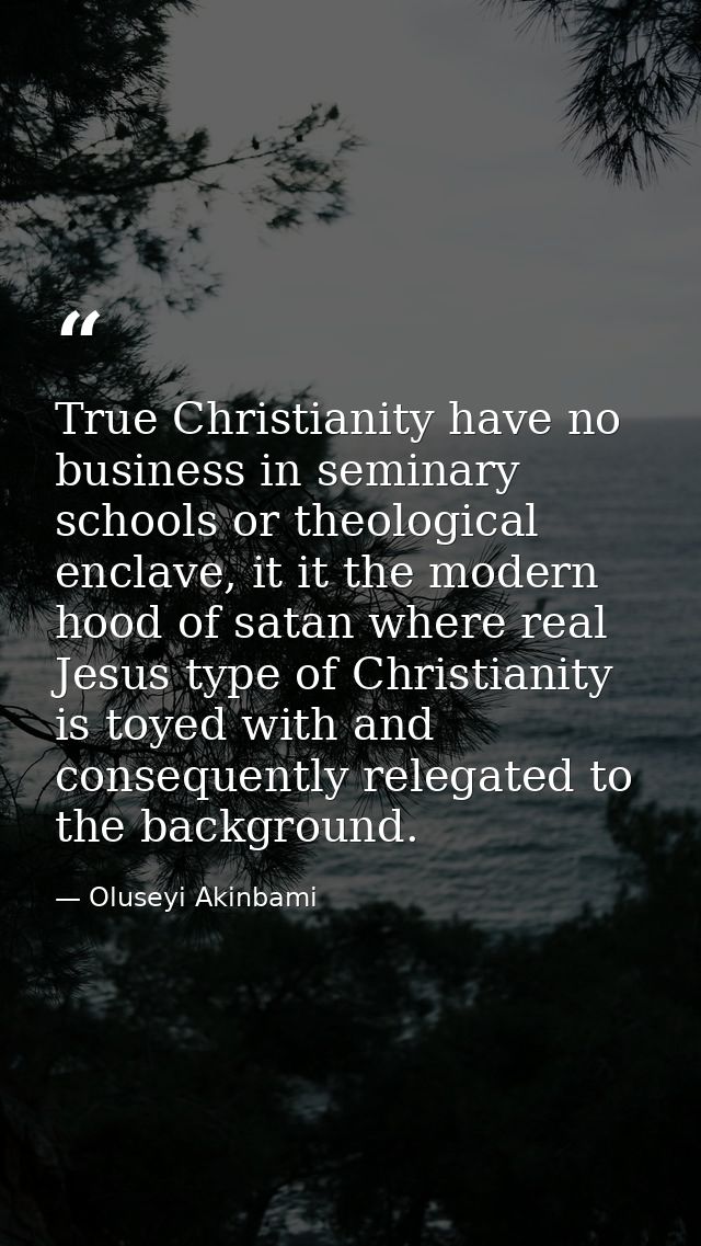 True Christianity have no business in seminary schools or theological enclave, it it the modern hood of satan where real — Oluseyi Akinbami