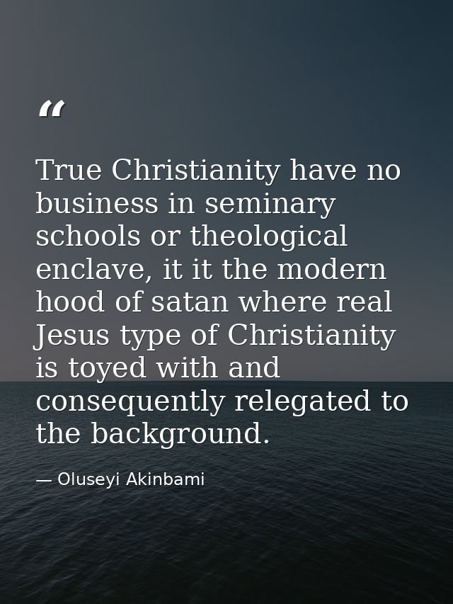 True Christianity have no business in seminary schools or theological enclave, it it the modern hood of satan where real — Oluseyi Akinbami